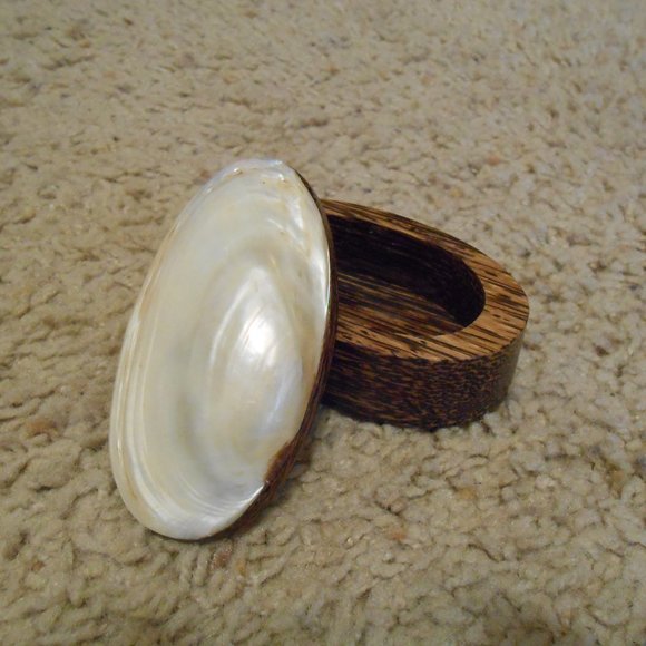 Shell Trinket Box - Picture 5 of 7